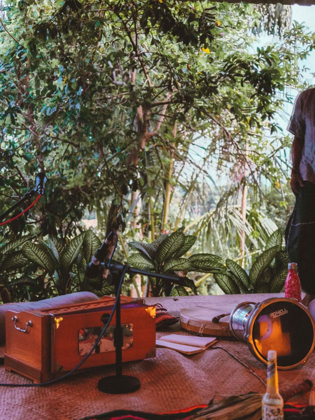 Dżungla - Powietrze